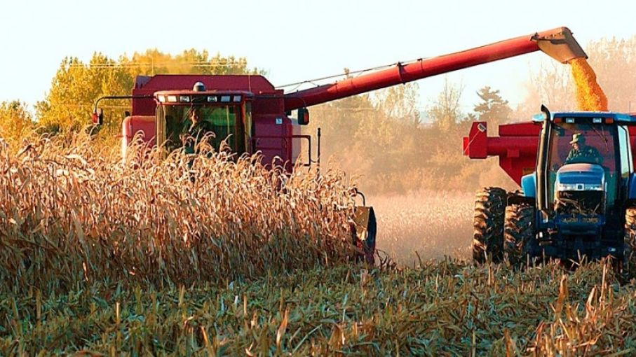 Productores De Soja Trigo Y Ma Z No Logran Recuperar El Poder De